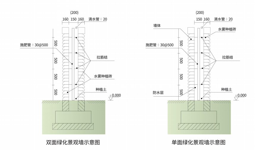 双面绿化.jpg